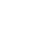 USP Icon 1
